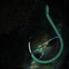 Glow Heavy Circle - Image 3
